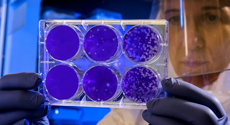 Follow the science: UN plans for a stronger pandemic recovery